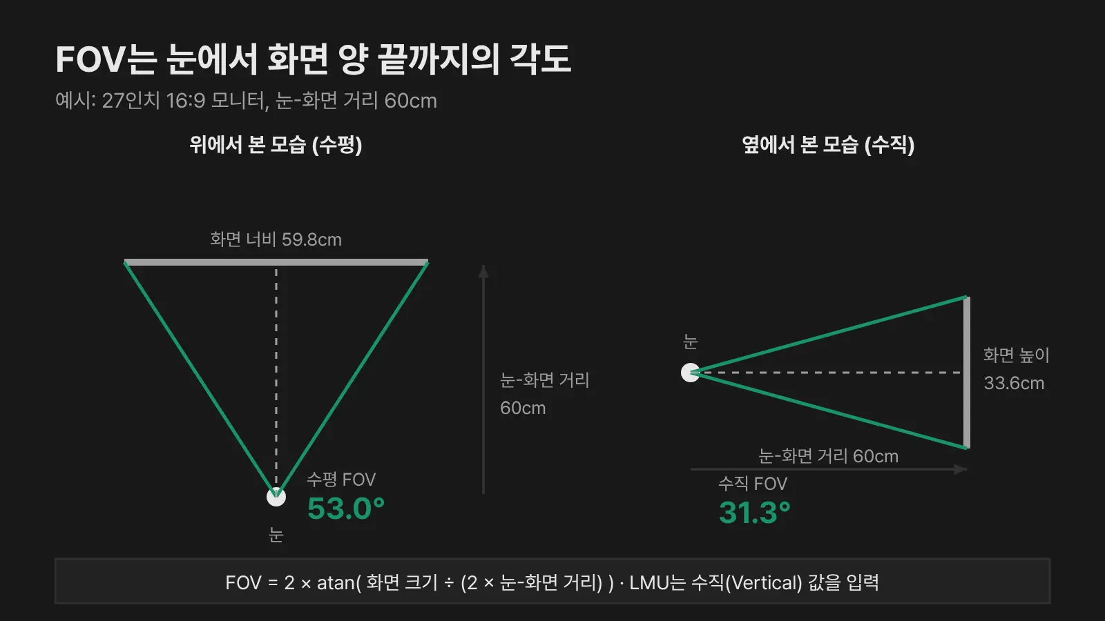 눈에서 화면 양 끝까지의 각도로 수평 FOV 53.0도와 수직 FOV 31.3도를 설명하는 다이어그램
